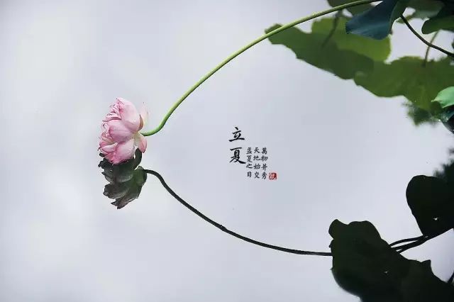 立夏诗词歌赋大全（描写立夏的古诗名句）
