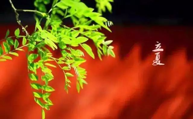 立夏诗词歌赋大全（描写立夏的古诗名句）