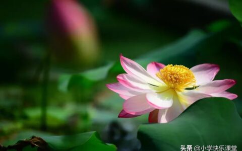 小学关于夏天的古诗大全（表示秋天的古诗）