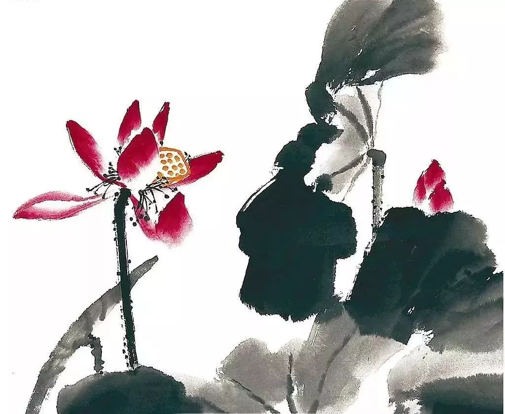 有关莲的诗句有哪些（关于莲花的诗句古诗鉴赏）