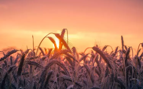 每日工作感悟一句话正能量（简短的每日工作总结）