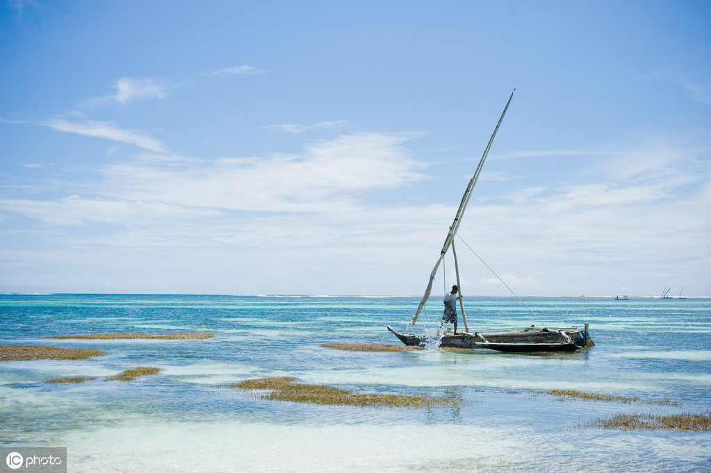 阳光像什么的句子（阳光像金子类似的短句大全）