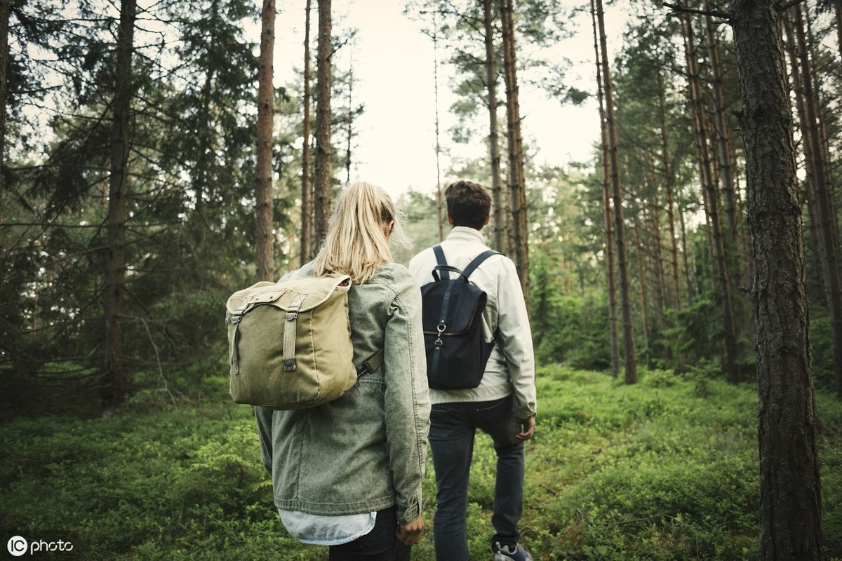 阳光像什么的句子（阳光像金子类似的短句大全）