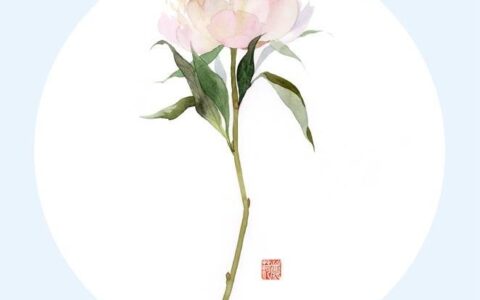 花开头的诗句有哪些（带有花的古诗大全）