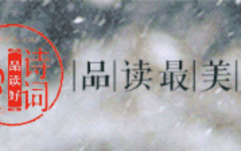 古诗赏析经典大全（优美古诗词摘抄赏析）