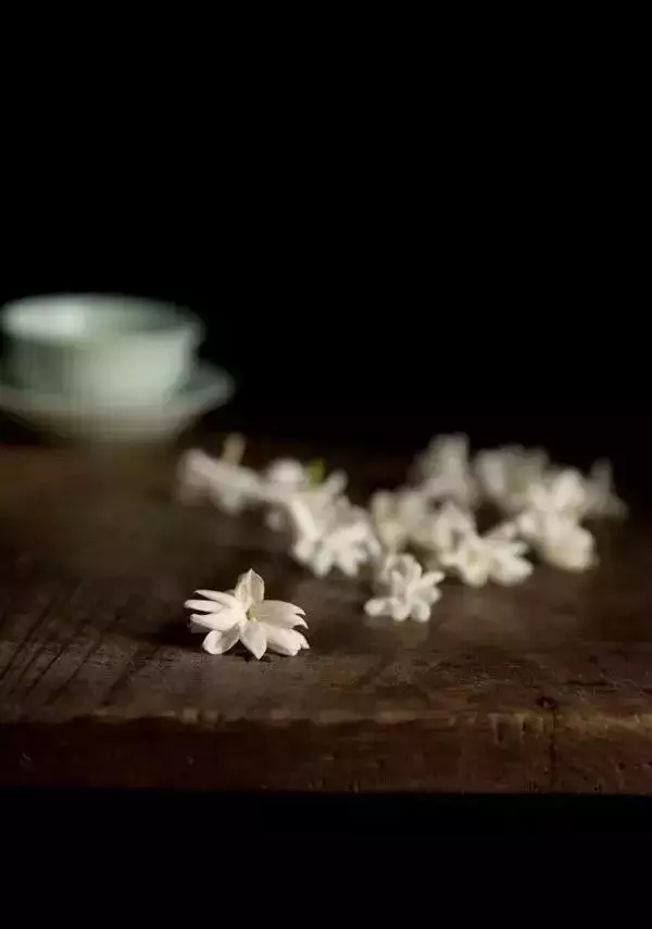 关于喝茶的诗句古文（关于茶的唯美诗句）