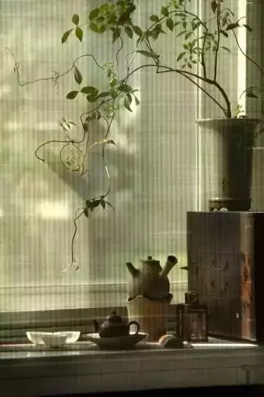 关于喝茶的诗句古文（关于茶的唯美诗句）