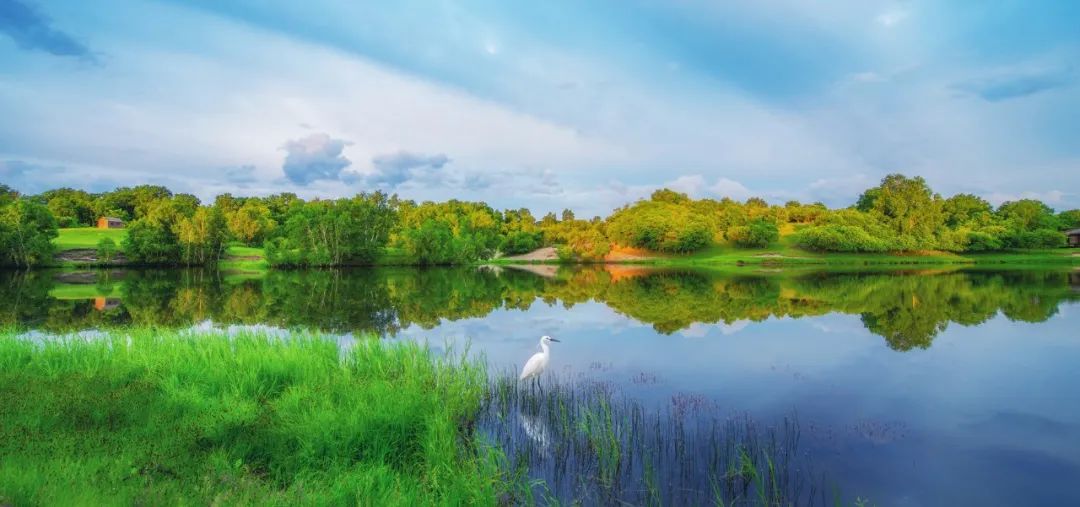 描写春天来了的诗句（描写赞美春天的古诗欣赏）