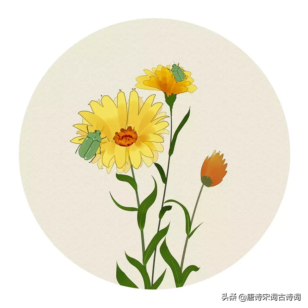 描写夏天的诗句古诗（关于夏天的名言名句）