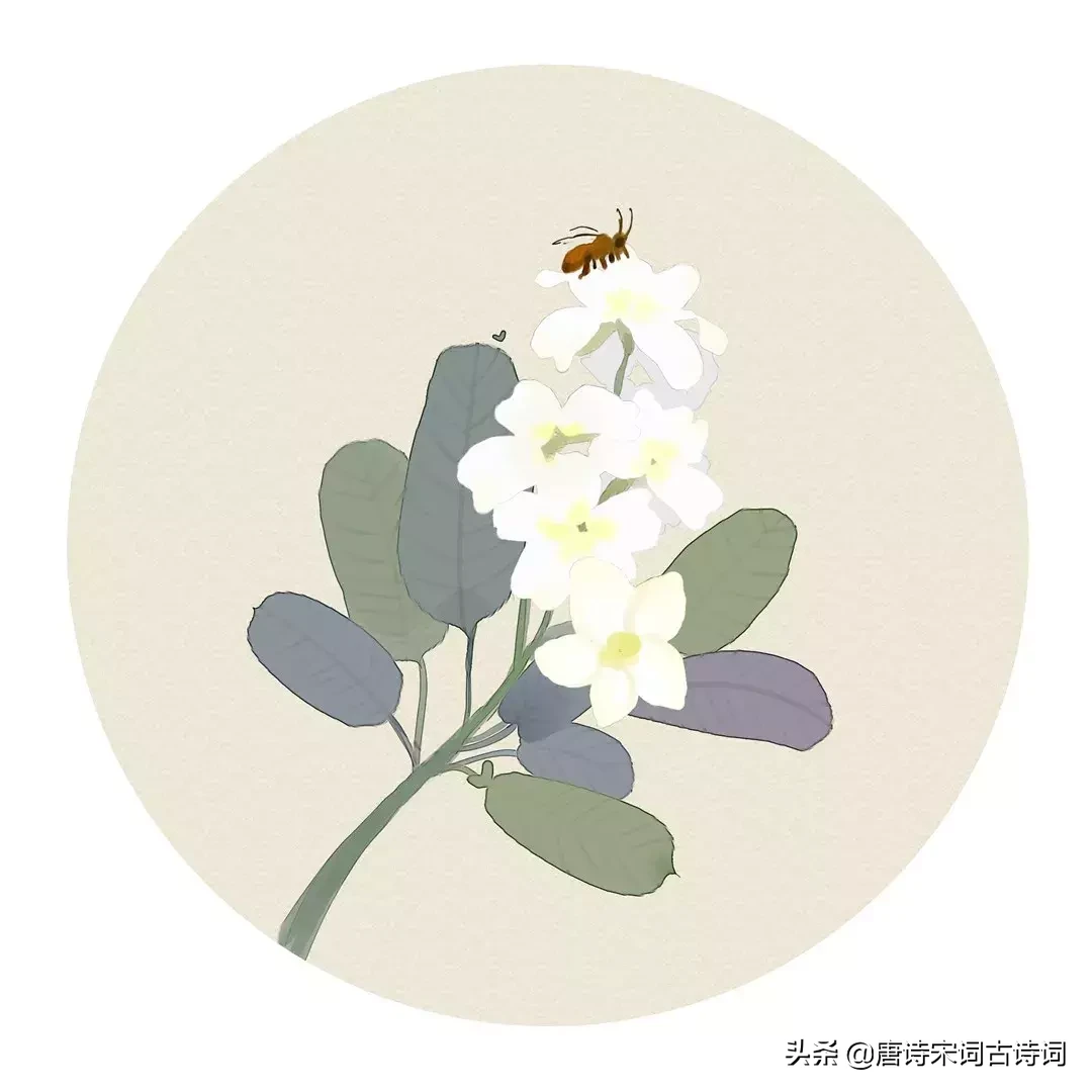 描写夏天的诗句古诗（关于夏天的名言名句）