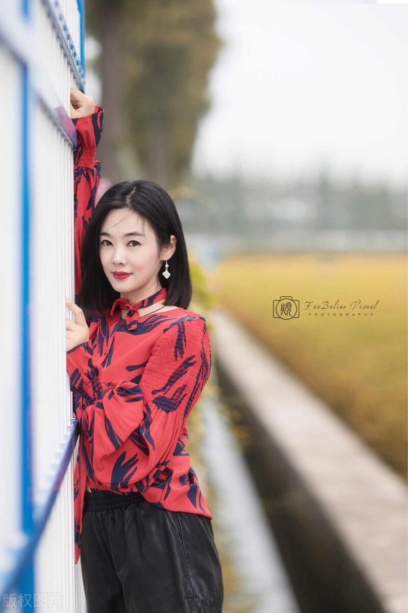 写菊花的诗句大全（赞美菊花的古诗9首）
