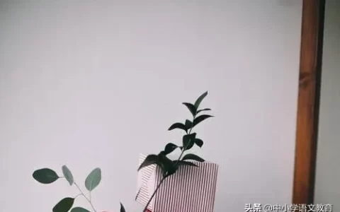 陈太丘与友期行文言文（陈太丘与友期行的注释和翻译）