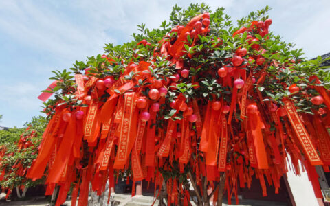 祝愿前程似锦的诗句有哪些（祝福人前程似锦的诗句分享）