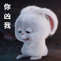 《爱宠大机密》兔子表情包_U表情包