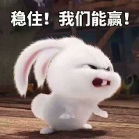 《爱宠大机密》兔子表情包_U表情包