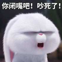 《爱宠大机密》兔子表情包_U表情包