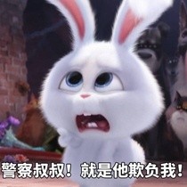 《爱宠大机密》兔子表情包_U表情包
