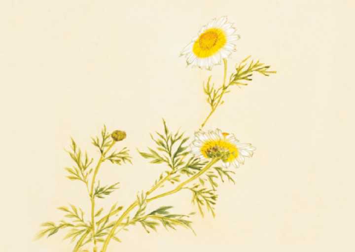 赞美母爱的古诗大全（关于母爱的诗句古诗）