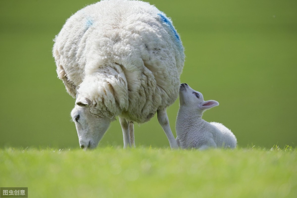 赞美母爱的古诗大全（关于母爱的诗句古诗）