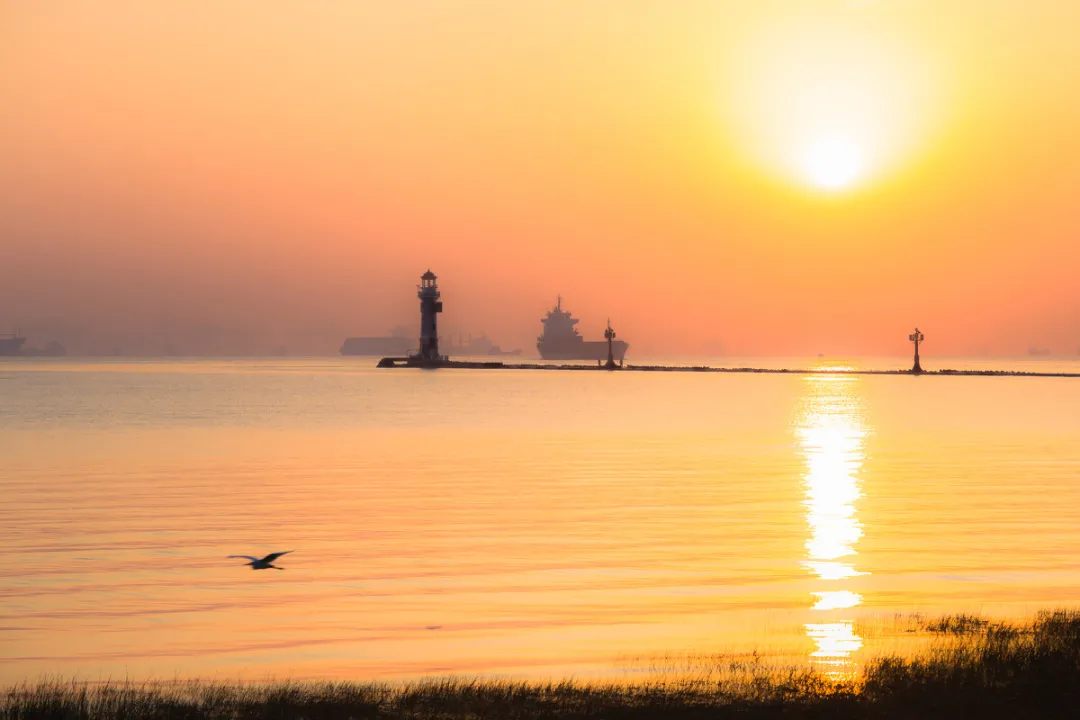 日出的诗句有哪些（描写日出的景色的诗句）