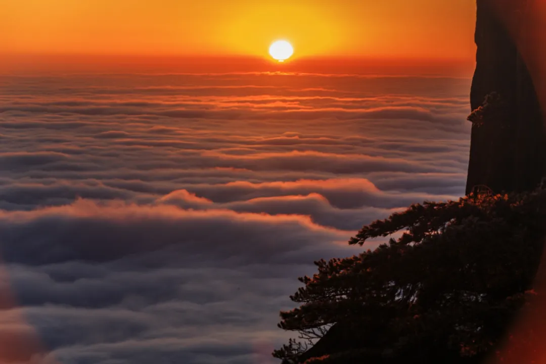 日出的诗句有哪些（描写日出的景色的诗句）