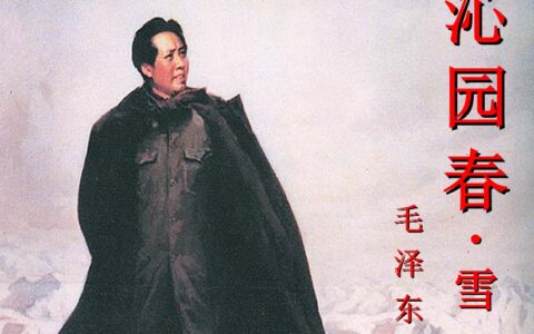 沁园春雪拼音全诗原文（沁园春雪赏析及诗意分析）