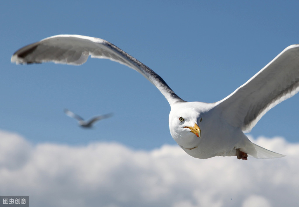 读书破万卷的下一句（唐诗赏析杜甫原文）