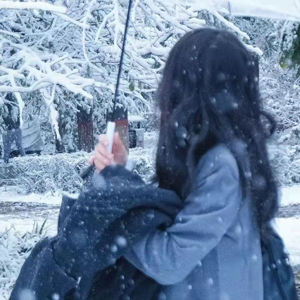 关于雪的文案（描写雪的优美片段）