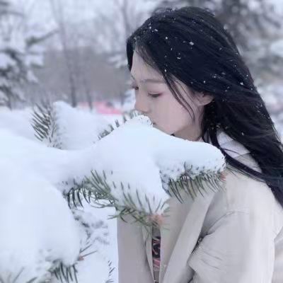 关于雪的文案（描写雪的优美片段）
