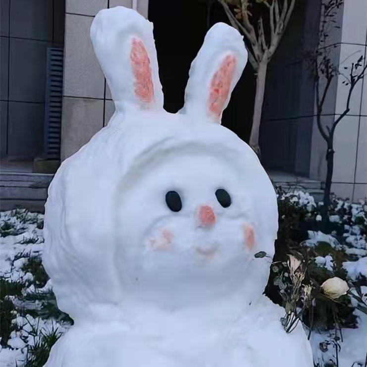 关于雪的文案（描写雪的优美片段）