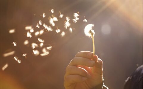 珍惜陪伴父母的唯美句子（有一种幸福叫陪伴父母短句）