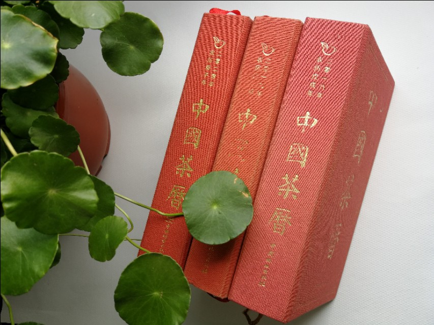 关于二十四节气诗歌（二十四节气有关的谚语）