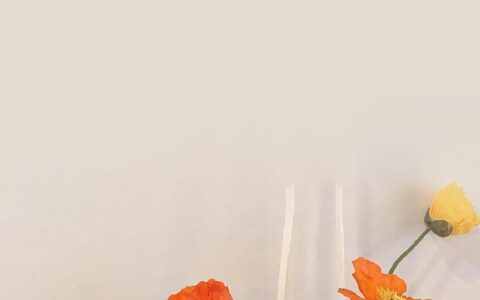 暗喻的句子简短（最经典的隐喻的句子）