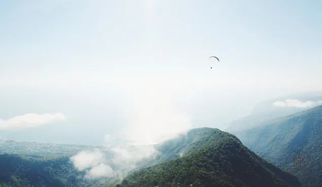 描写爱情的诗句赏析（形容爱情的浪漫的美好古诗词）