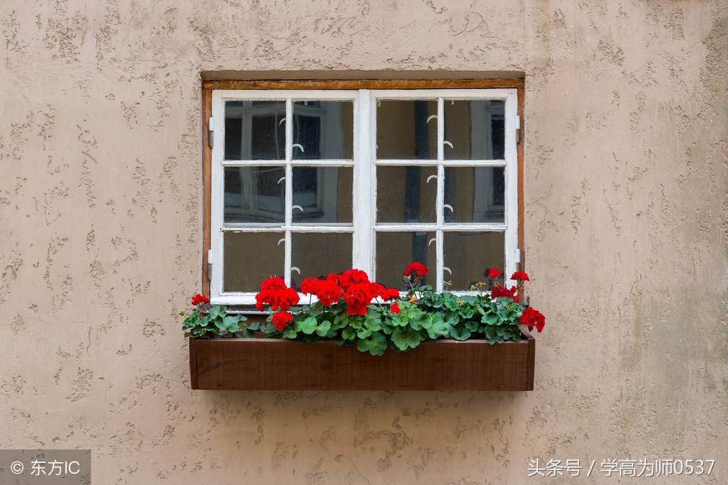 写花的古诗有哪些（赞美花的优美诗句）