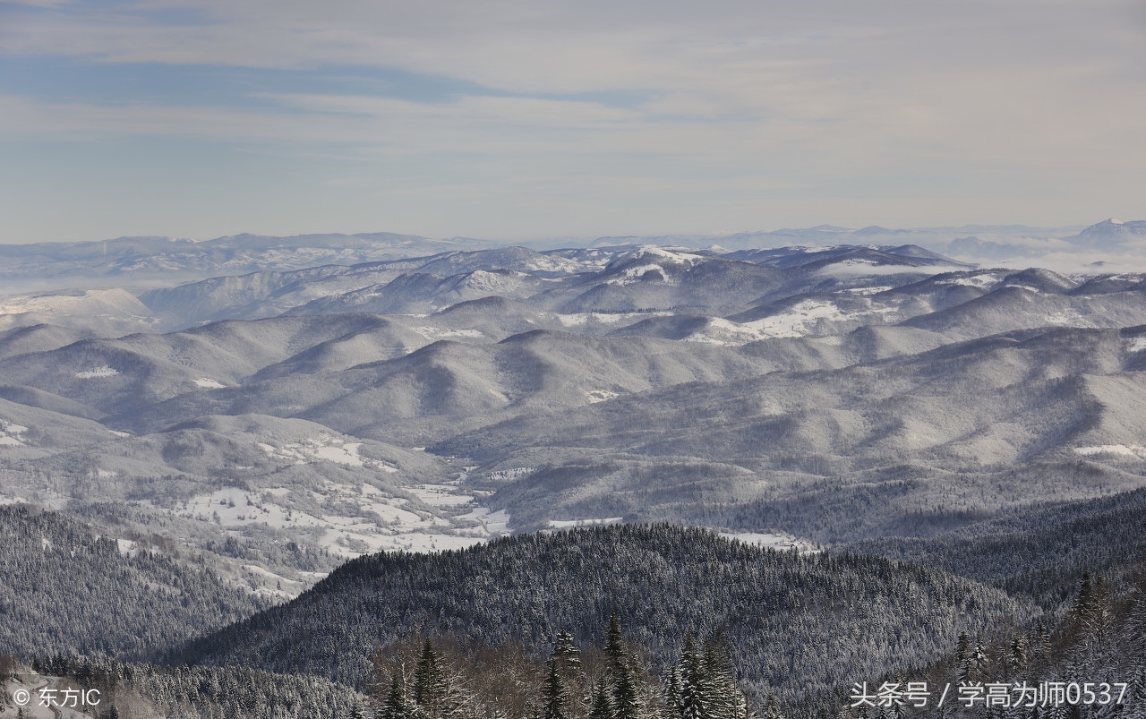 写花的古诗有哪些（赞美花的优美诗句）
