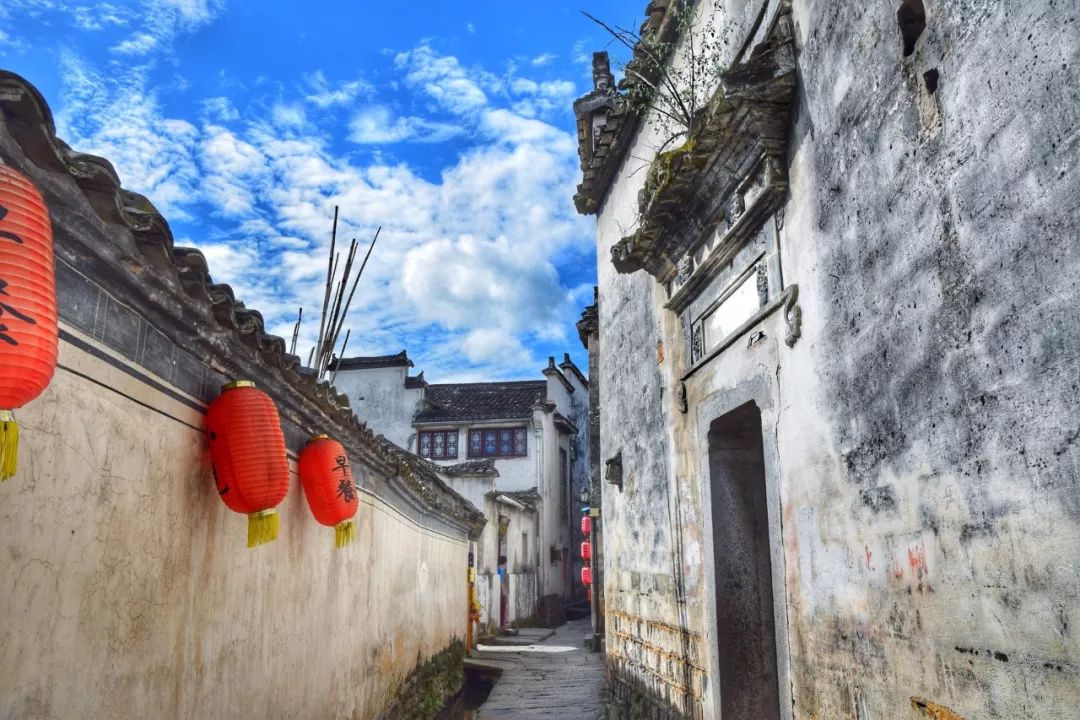 重阳节诗句有哪些（关于重阳节的古诗二句）
