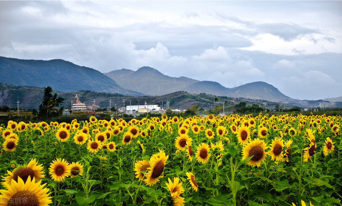 早晨让人心情好的句子（最能打动人心的早安问候）