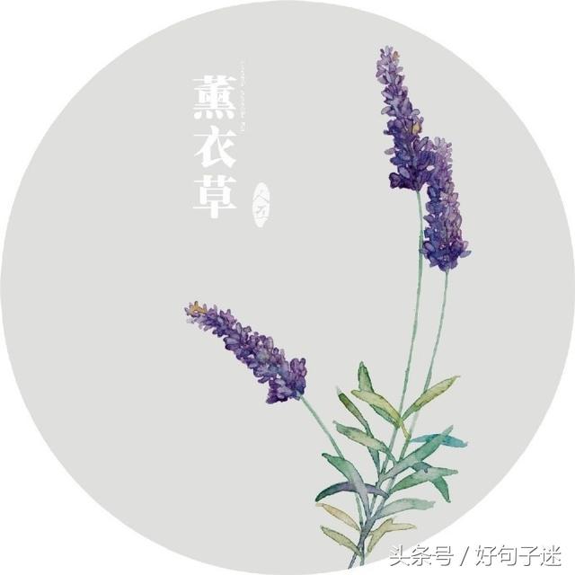 内心独白经典句子（抒发内心情感的句子）