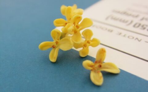 描写桂花的诗句有哪些（关于桂花的诗句经典）