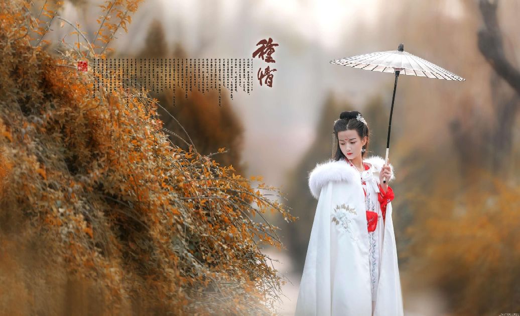 菩萨蛮平林漠漠烟如织赏析（平林漠漠烟如织全诗教读）