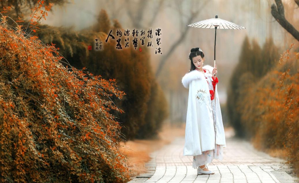 菩萨蛮平林漠漠烟如织赏析（平林漠漠烟如织全诗教读）