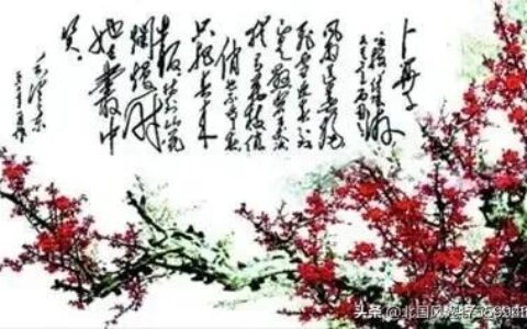 卜算子咏梅译文和注释（卜算子咏梅诗意详解）