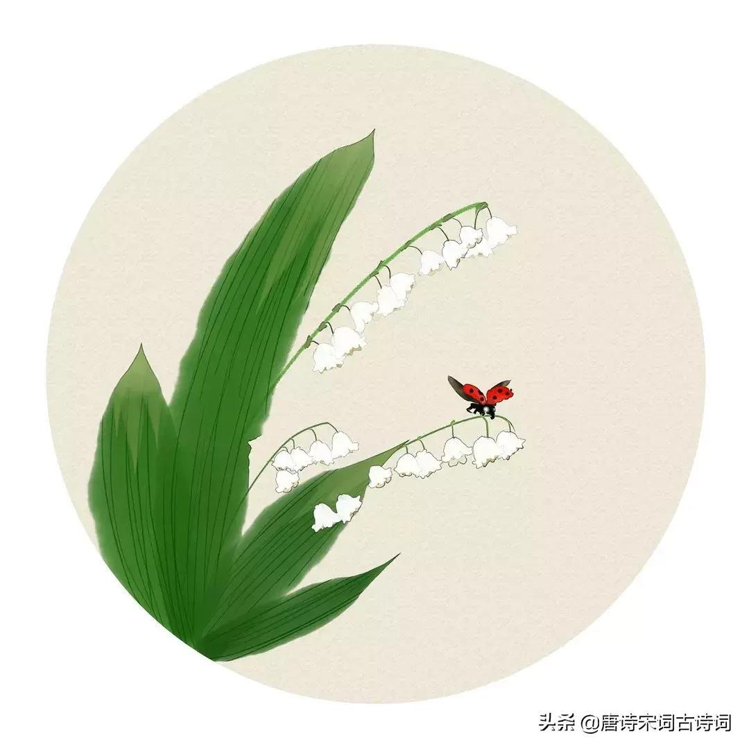 关于夏的诗句（关于描写夏天的诗句古诗分享）