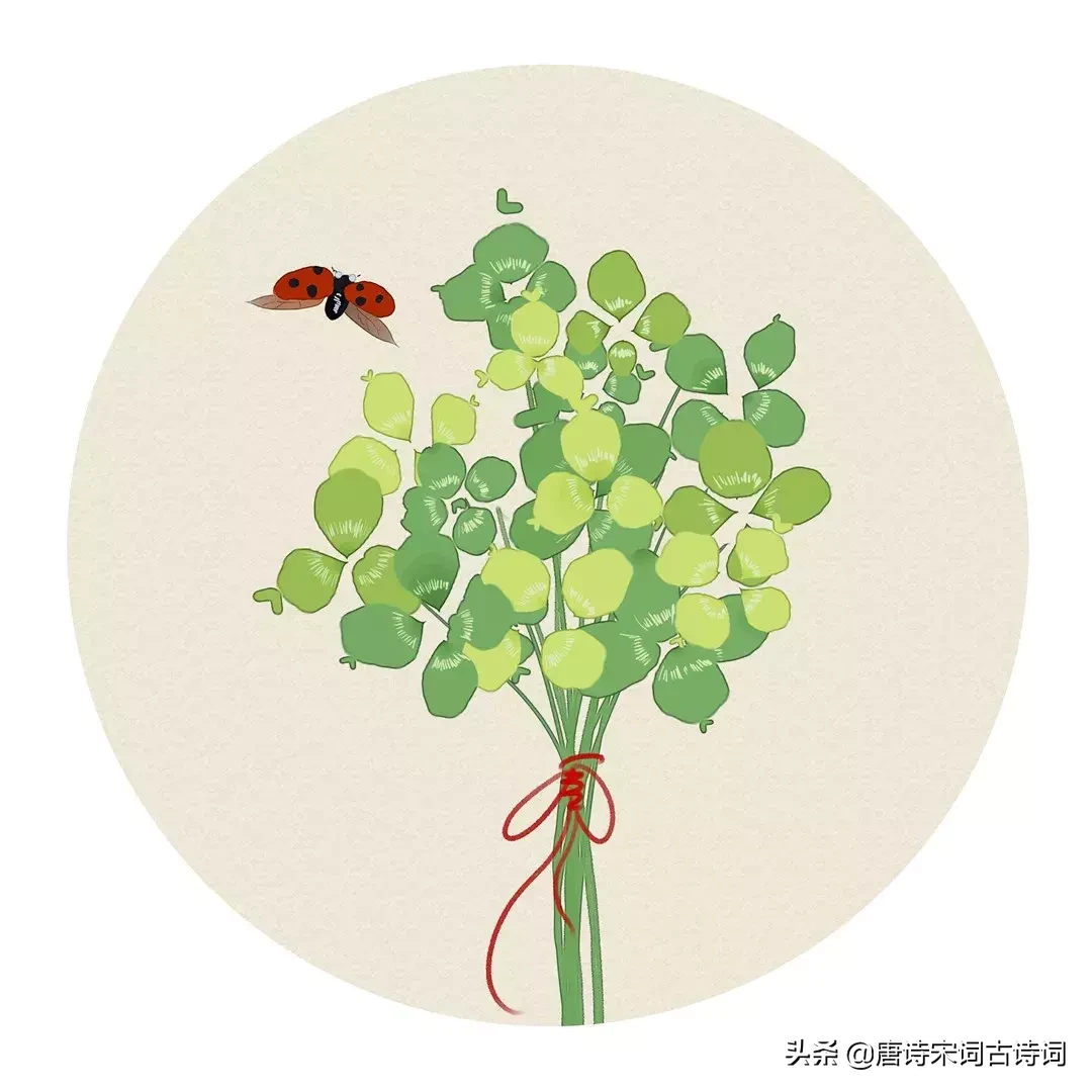 关于夏的诗句（关于描写夏天的诗句古诗分享）