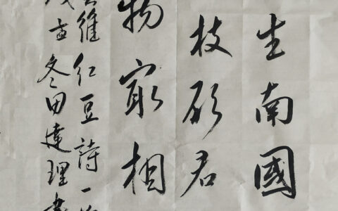 红豆古诗王维（红豆翻译及注释）