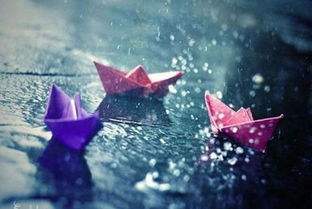 带有雨字的诗句有哪些（带雨的诗句飞花令）