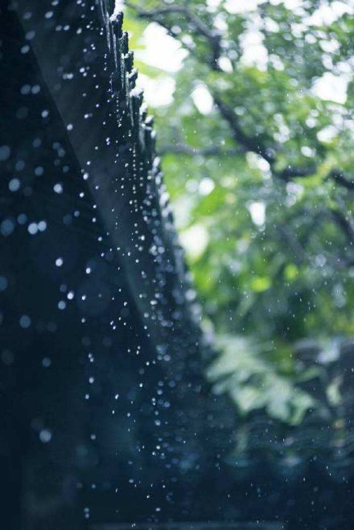 带有雨字的诗句有哪些（带雨的诗句飞花令）