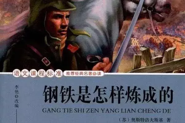 钢铁是怎样炼成的摘抄加赏析（钢铁是怎样炼成的好句和点评）