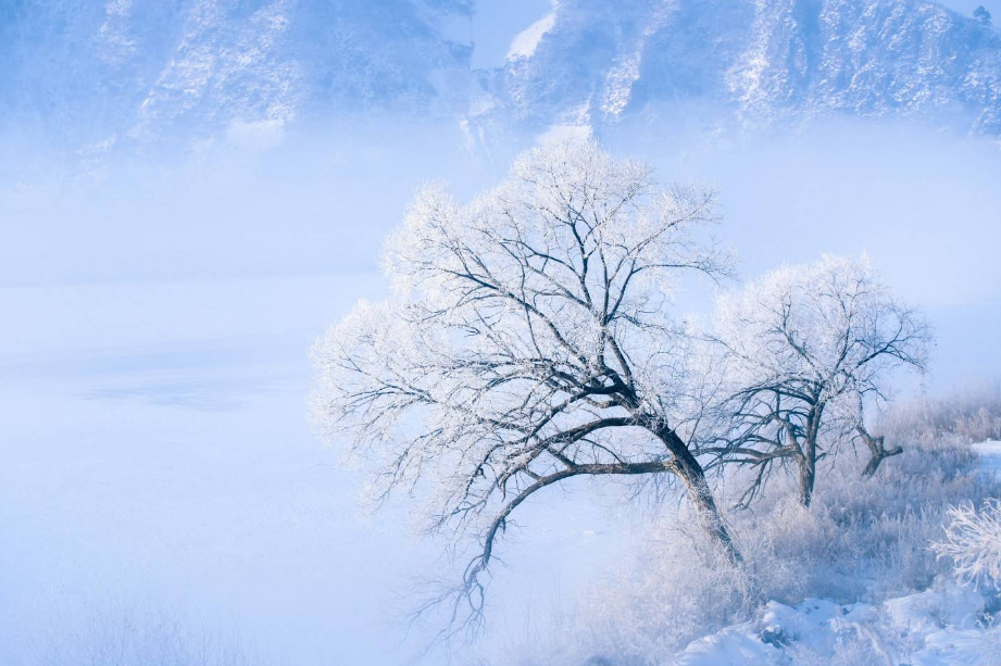 描写雪的诗词名句（古诗中带有雪的诗句）